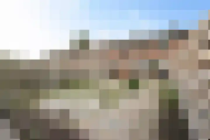 Zonnedauwlaan 15 Stadskanaal thumbnail 18