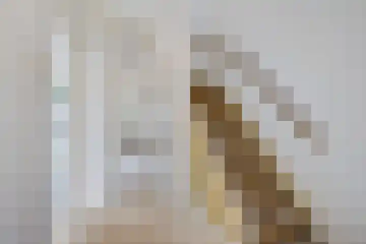 Zonnedauwlaan 15 Stadskanaal thumbnail 4