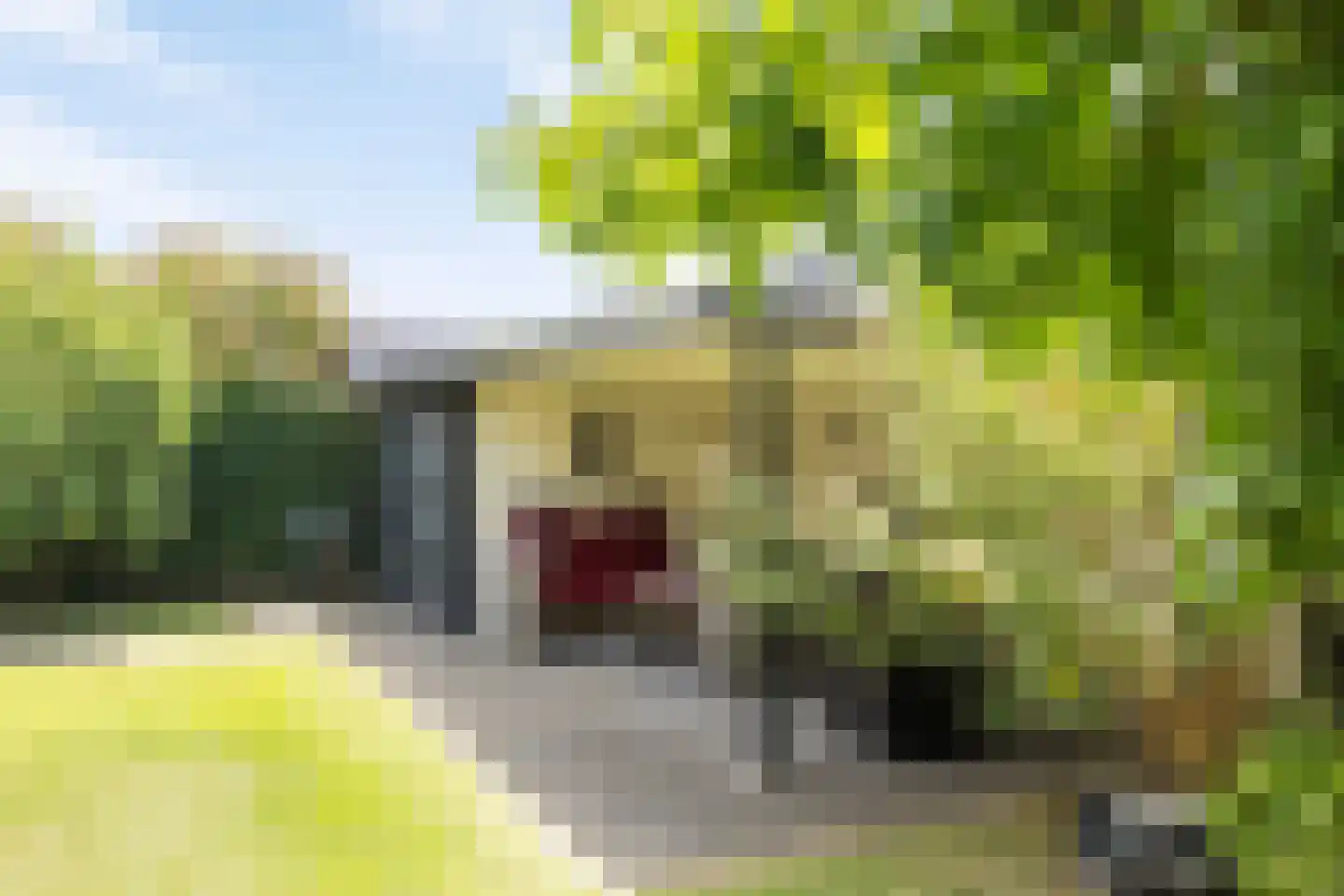 Zonnedauwlaan 34 Lelystad thumbnail 39