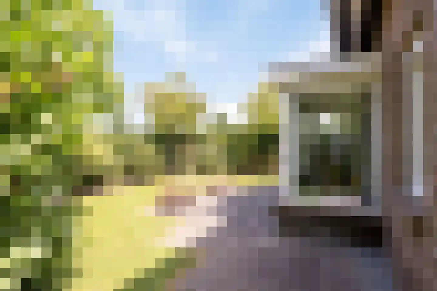 Zonnedauwlaan 34 Lelystad thumbnail 42