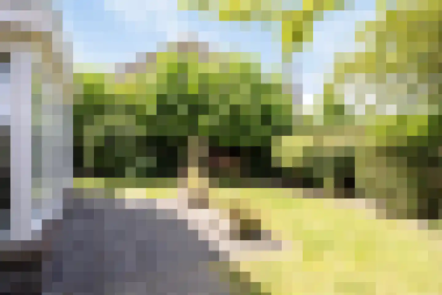 Zonnedauwlaan 34 Lelystad thumbnail 43