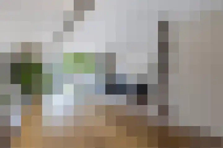 Zonnedauwlaan 35 Kudelstaart thumbnail 10