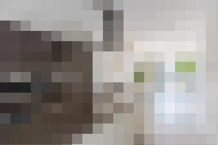 Zonnedauwlaan 35 Kudelstaart thumbnail 14