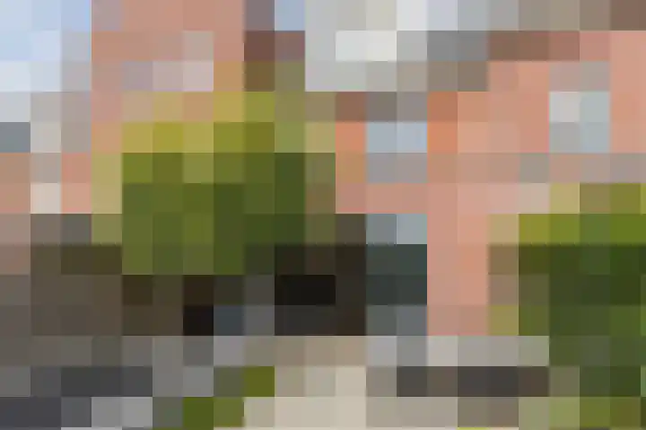 Zonnedauwlaan 35 Kudelstaart thumbnail 43
