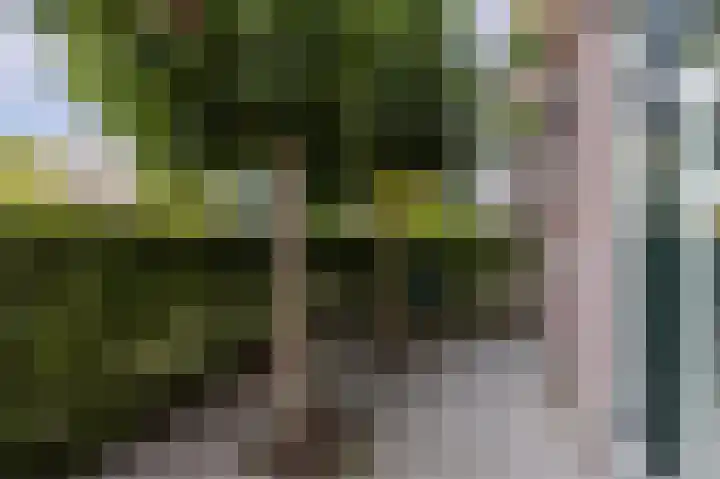 Zonnedauwlaan 35 Kudelstaart thumbnail 49