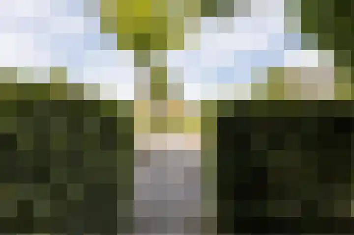 Zonnedauwlaan 35 Kudelstaart thumbnail 50