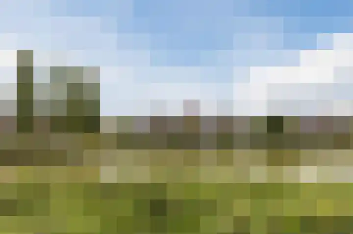 Zonnedauwlaan 35 Kudelstaart thumbnail 52