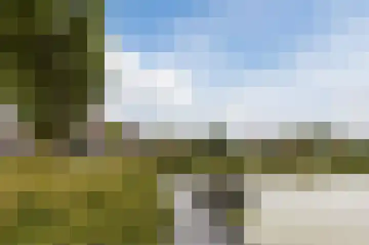 Zonnedauwlaan 35 Kudelstaart thumbnail 53