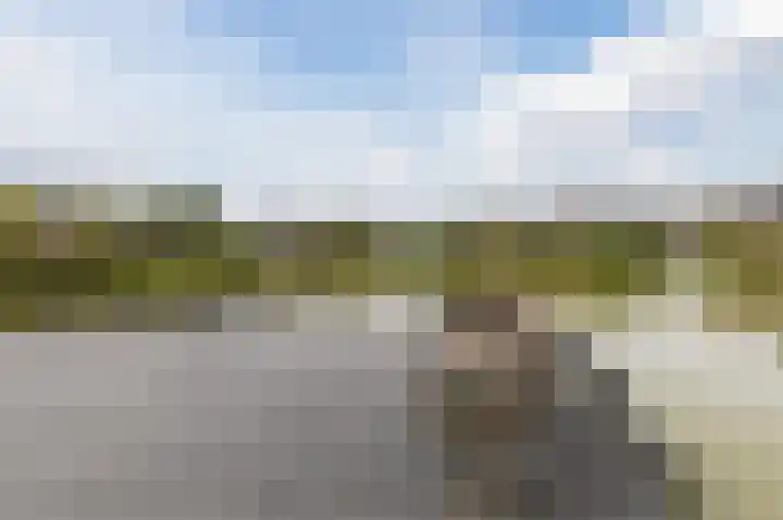 Zonnedauwlaan 35 Kudelstaart thumbnail 54