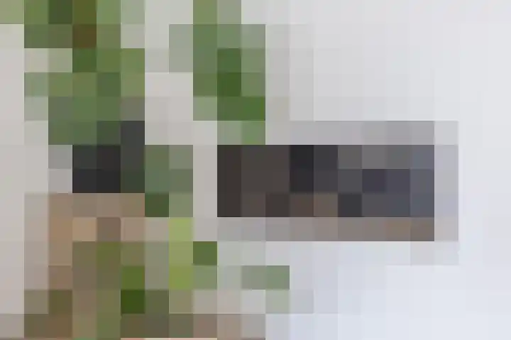 Zonnedauwlaan 35 Kudelstaart thumbnail 6
