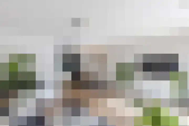 Zonnedauwlaan 35 Kudelstaart thumbnail 7