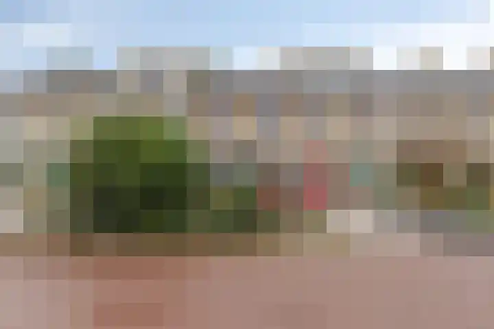 Zonnedauwlaan 41 in Rijnsaterwoude