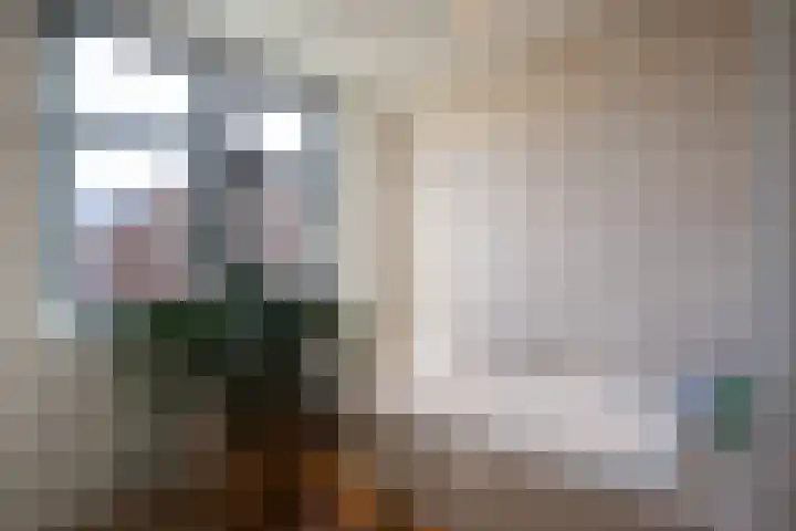 Zonnedauwlaan 41 Kudelstaart thumbnail 28