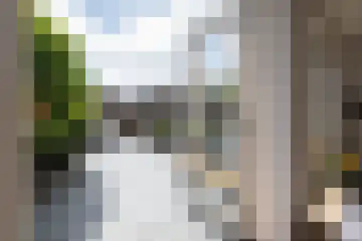 Zonnedauwlaan 5 Kudelstaart thumbnail 16