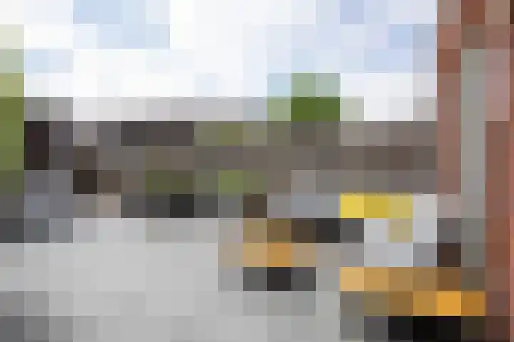 Zonnedauwlaan 5 Kudelstaart thumbnail 17