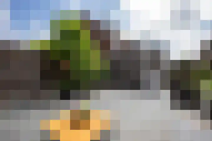 Zonnedauwlaan 5 Kudelstaart thumbnail 18