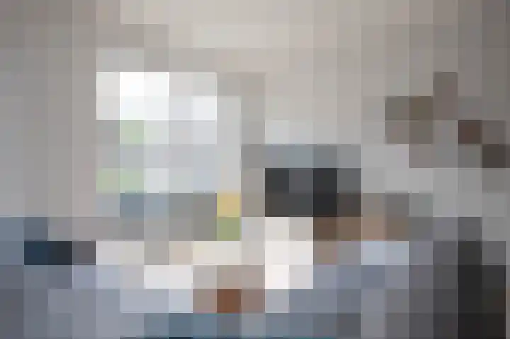 Zonnedauwlaan 5 Kudelstaart thumbnail 9