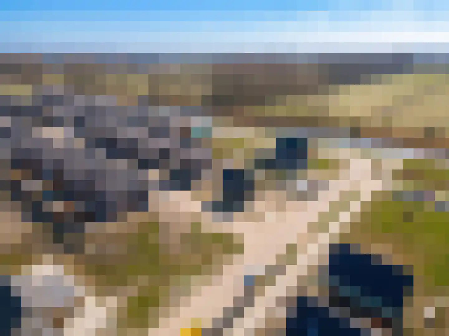 Zonnedauwlaan 57 Lelystad thumbnail 5
