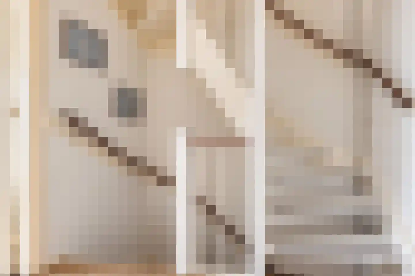 Zonnedauwlaan 6 Rijnsaterwoude thumbnail 17