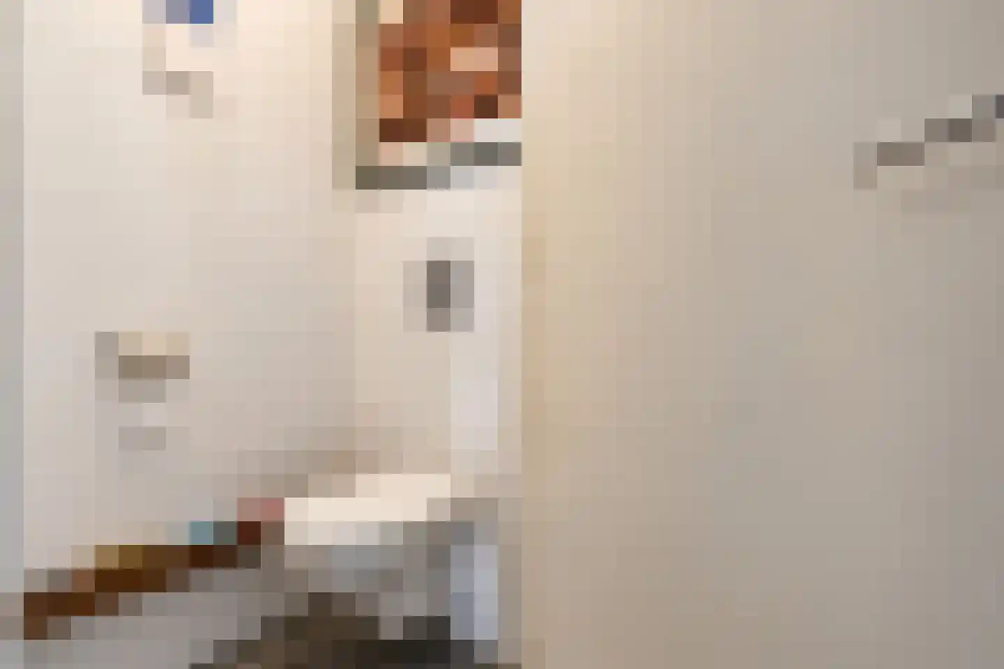 Zonnedauwlaan 6 Rijnsaterwoude thumbnail 30