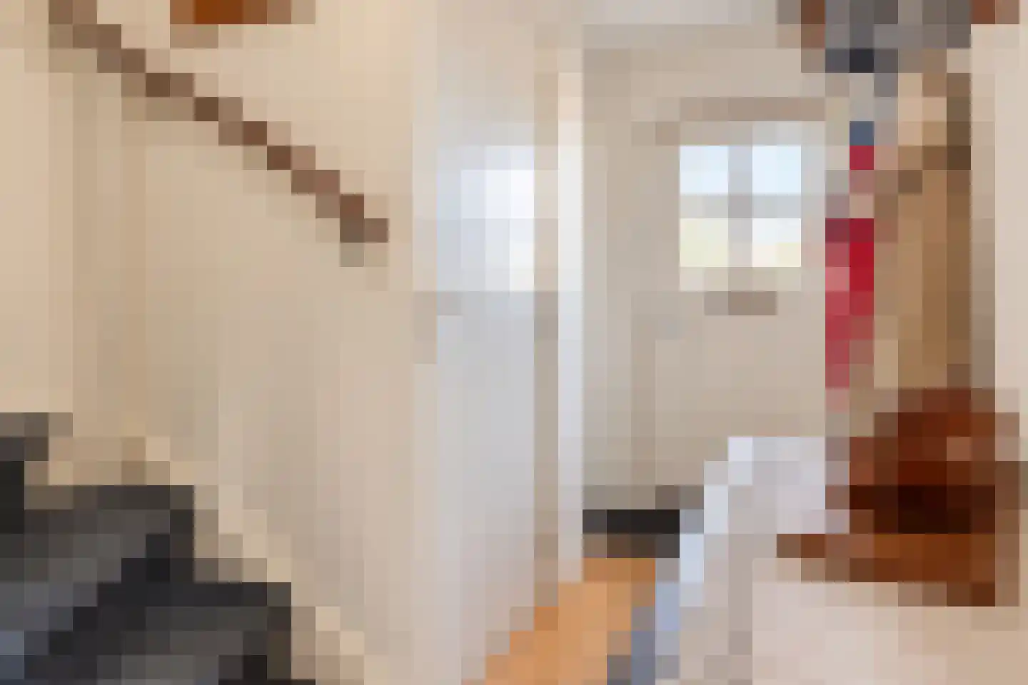 Zonnedauwlaan 6 Rijnsaterwoude thumbnail 31
