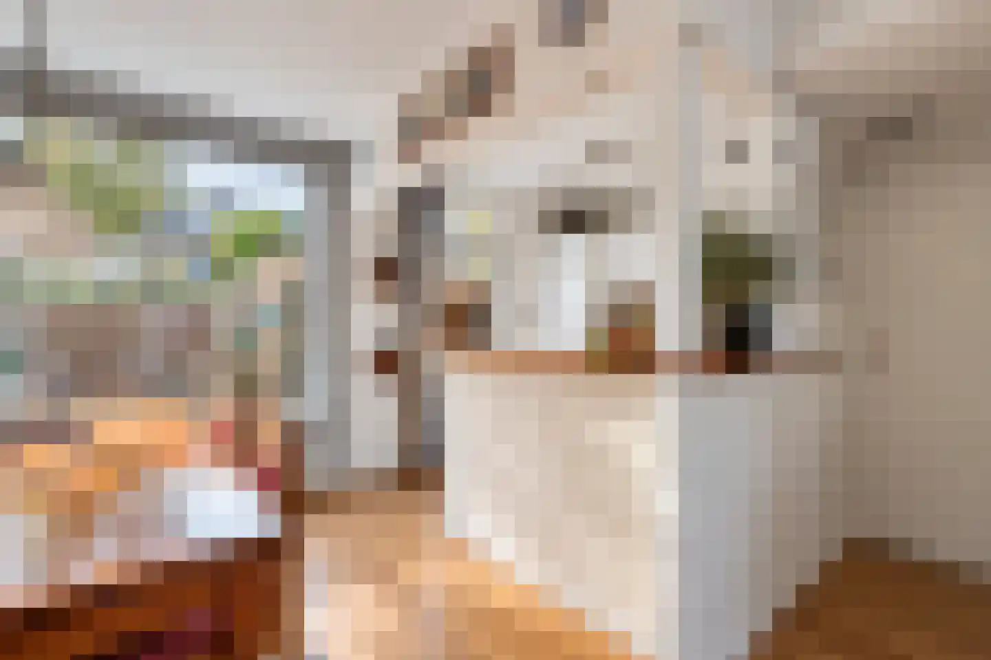 Zonnedauwlaan 6 Rijnsaterwoude thumbnail 9