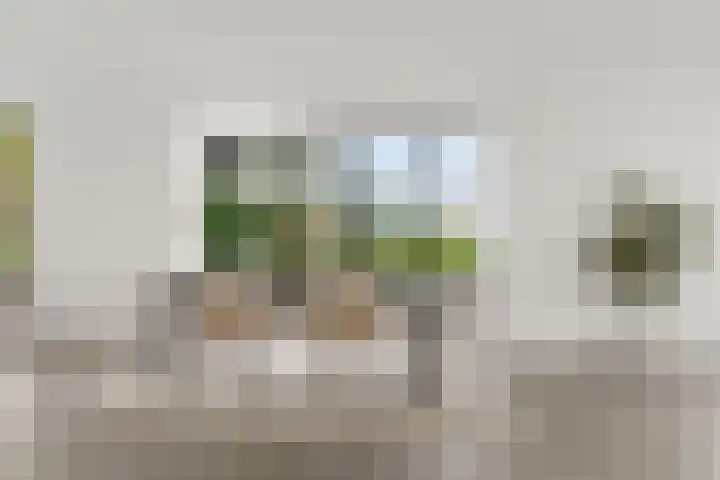 Zonnedauwlaan 61 Lelystad thumbnail 15