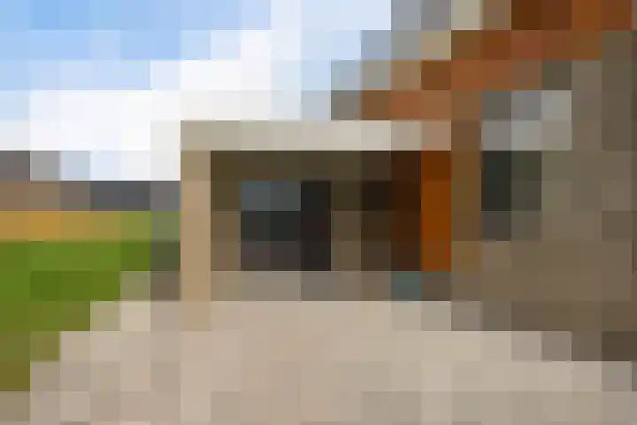 Zonnedauwlaan 61 Lelystad thumbnail 54