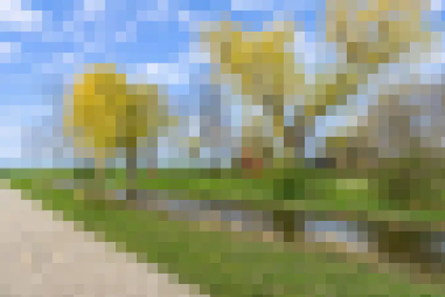 Zonnedauwlaan 65 Rijnsaterwoude thumbnail 39