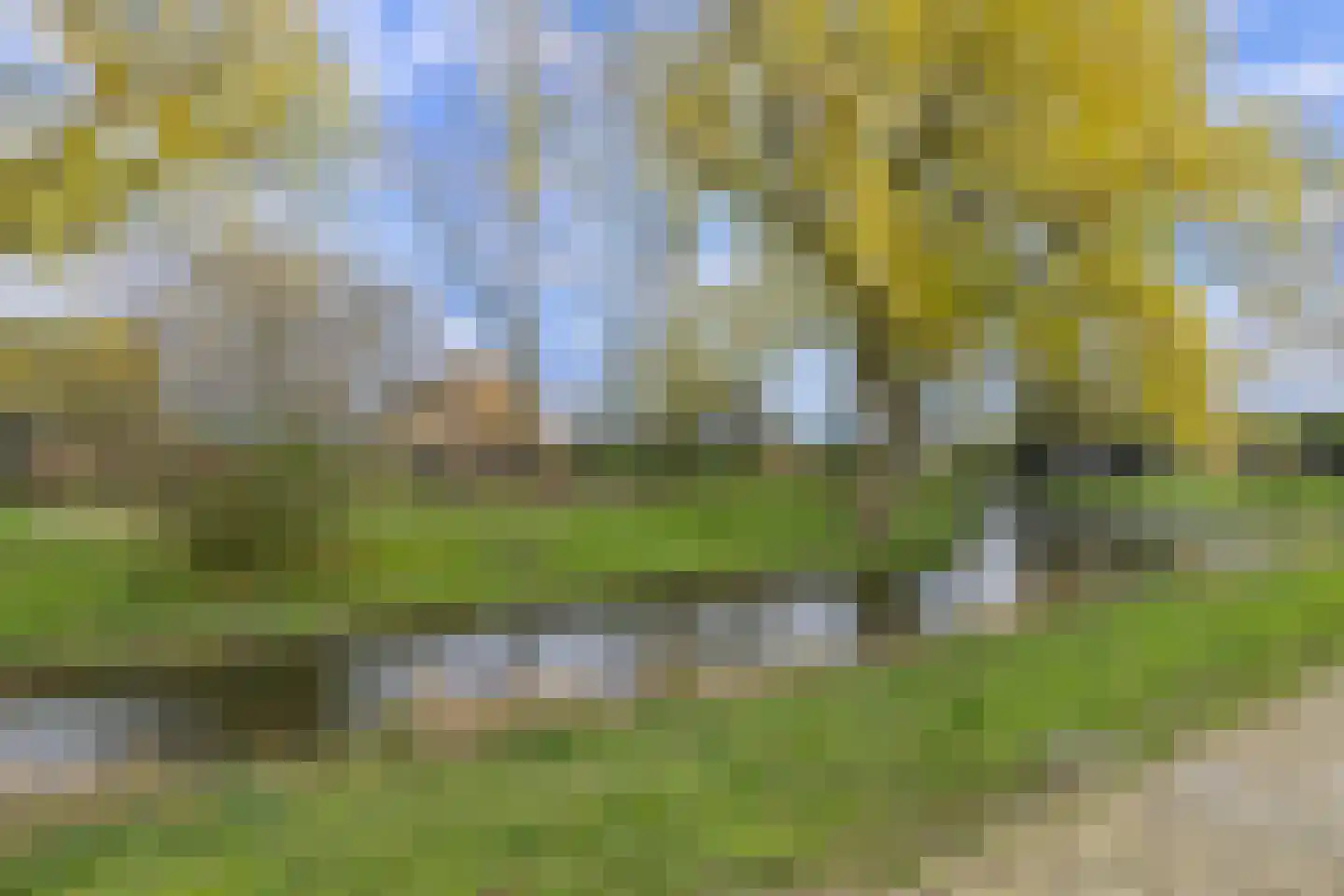 Zonnedauwlaan 65 Rijnsaterwoude thumbnail 40