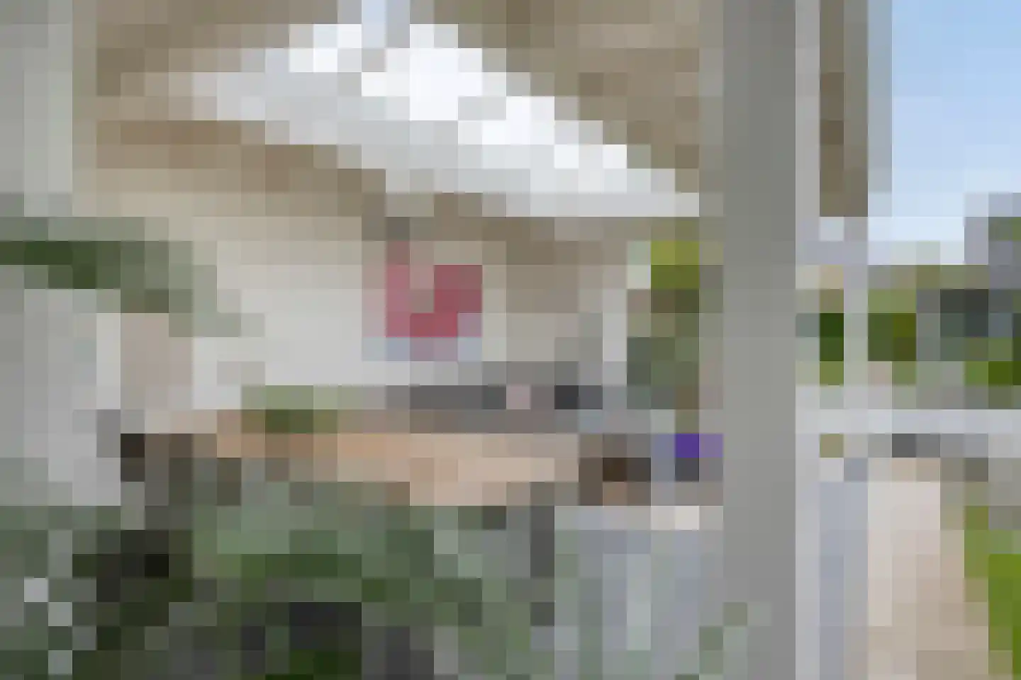 Zonnedauwsingel 38 Helmond thumbnail 18