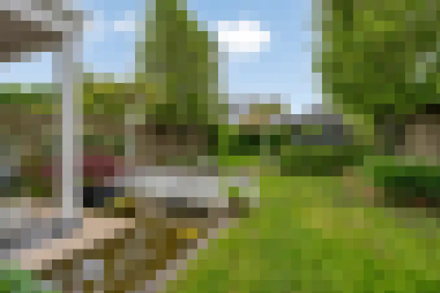 Zonnedauwsingel 38 Helmond thumbnail 20