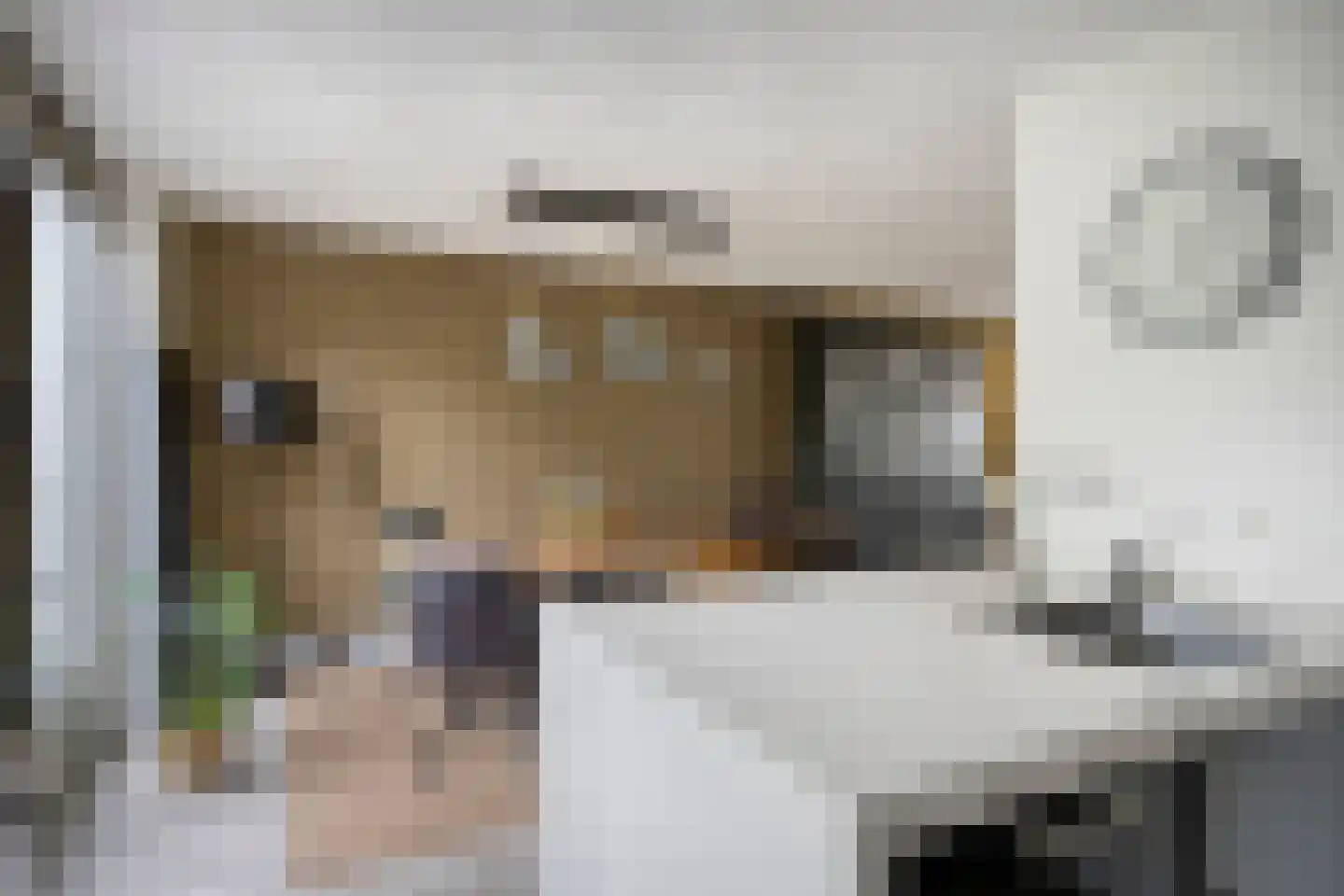 Zonnedauwsingel 38 Helmond thumbnail 6