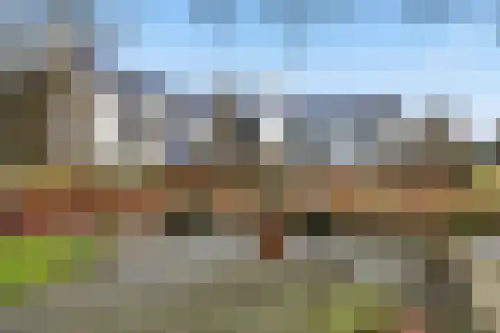 Zonnedauwstraat 10 Wormer thumbnail 34