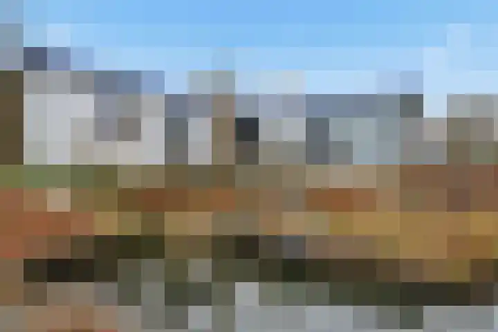 Zonnedauwstraat 10 Wormer thumbnail 35