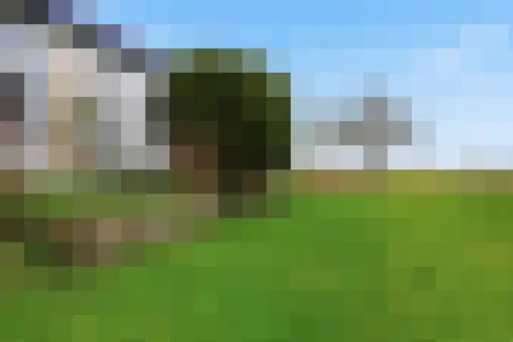Zonnedauwstraat 10 Wormer thumbnail 36