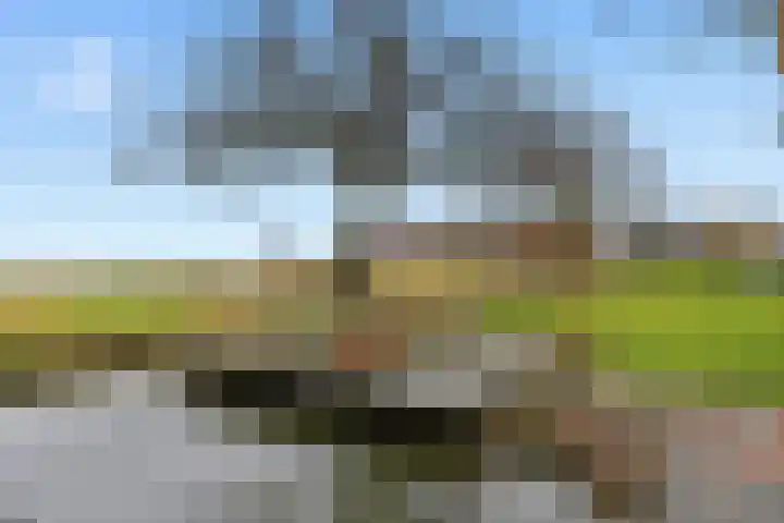 Zonnedauwstraat 10 Wormer thumbnail 37