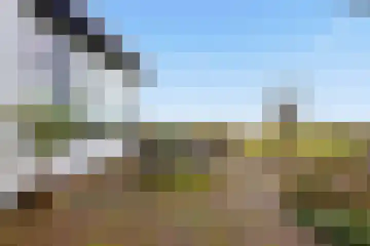 Zonnedauwstraat 10 Wormer thumbnail 40