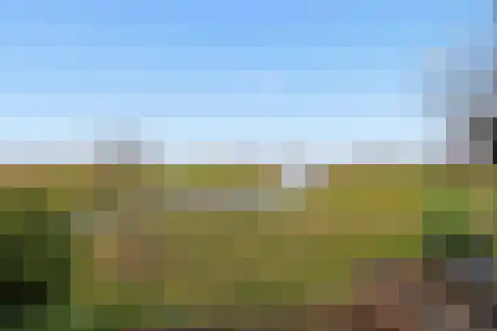 Zonnedauwstraat 10 Wormer thumbnail 50