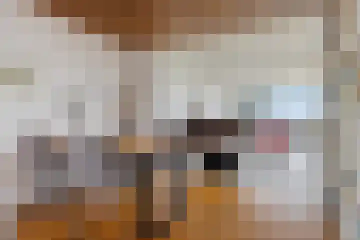 Zonnedauwstraat 10 Wormer thumbnail 7