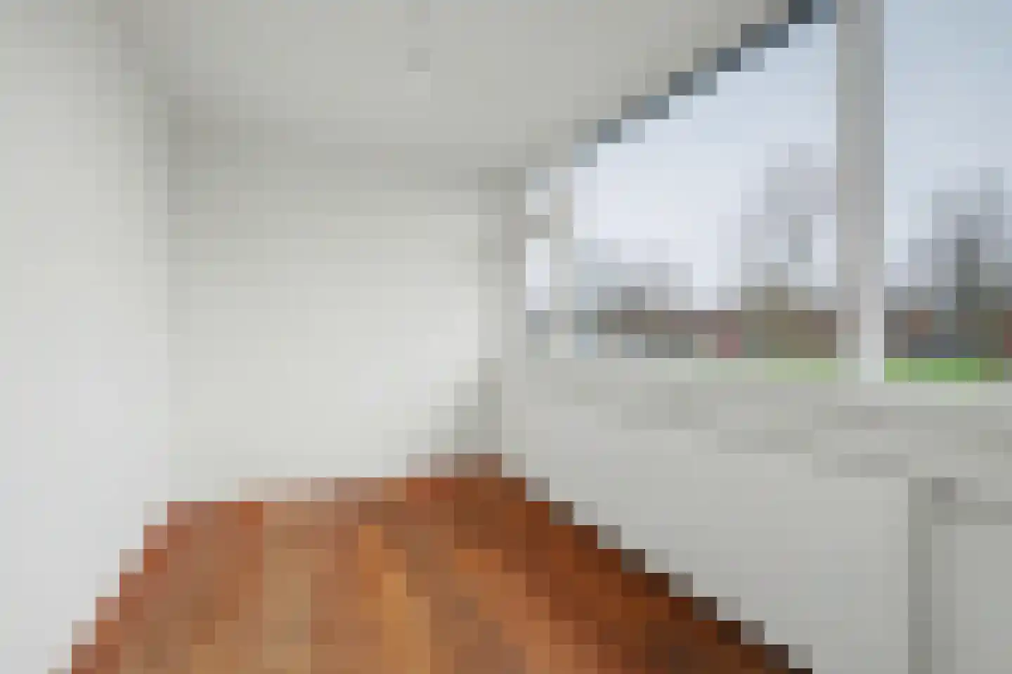 Zonnedauwstraat 14 Waalwijk thumbnail 19