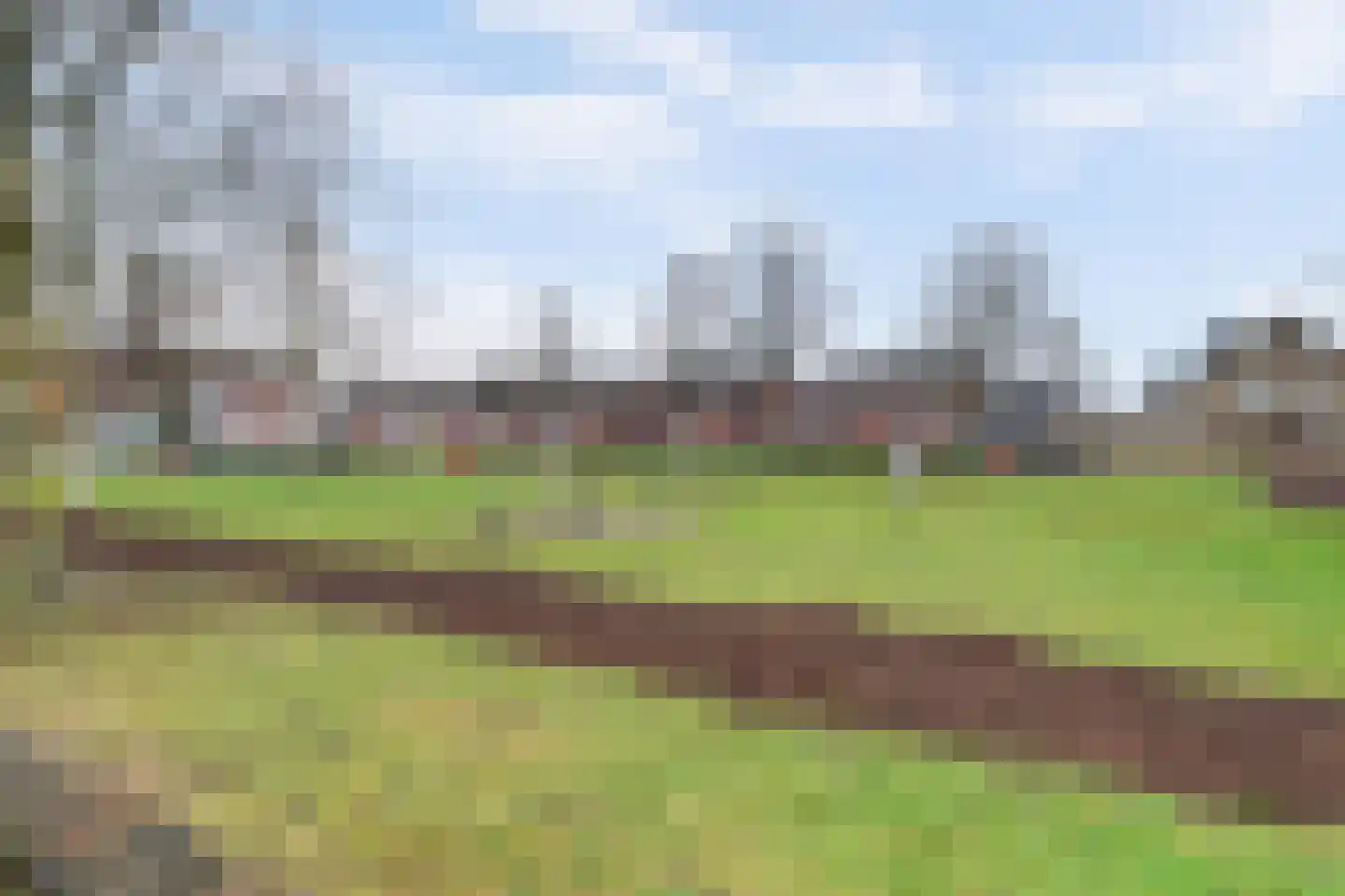 Zonnedauwstraat 14 Waalwijk thumbnail 5