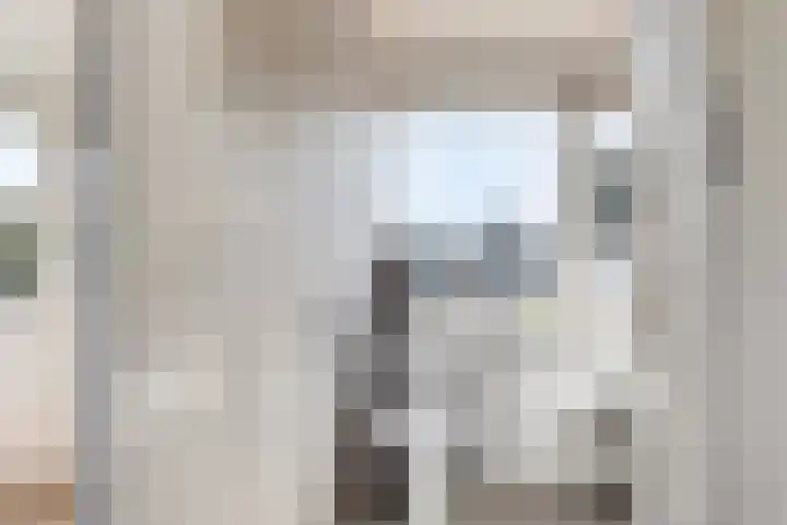 Zonnedauwstraat 20 Waalwijk thumbnail 20