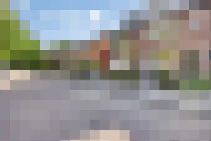 Zonnedauwstraat 20 Waalwijk thumbnail 7