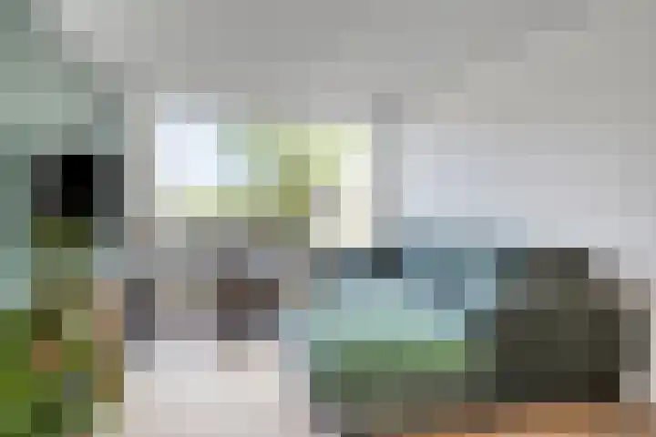 Zonnedauwstraat 20 Waalwijk thumbnail 8