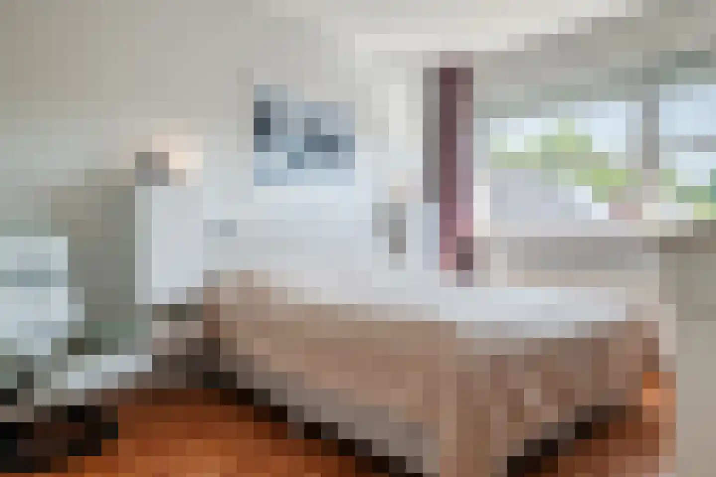 Zonnedauwstraat 6 2e Exloërmond thumbnail 25