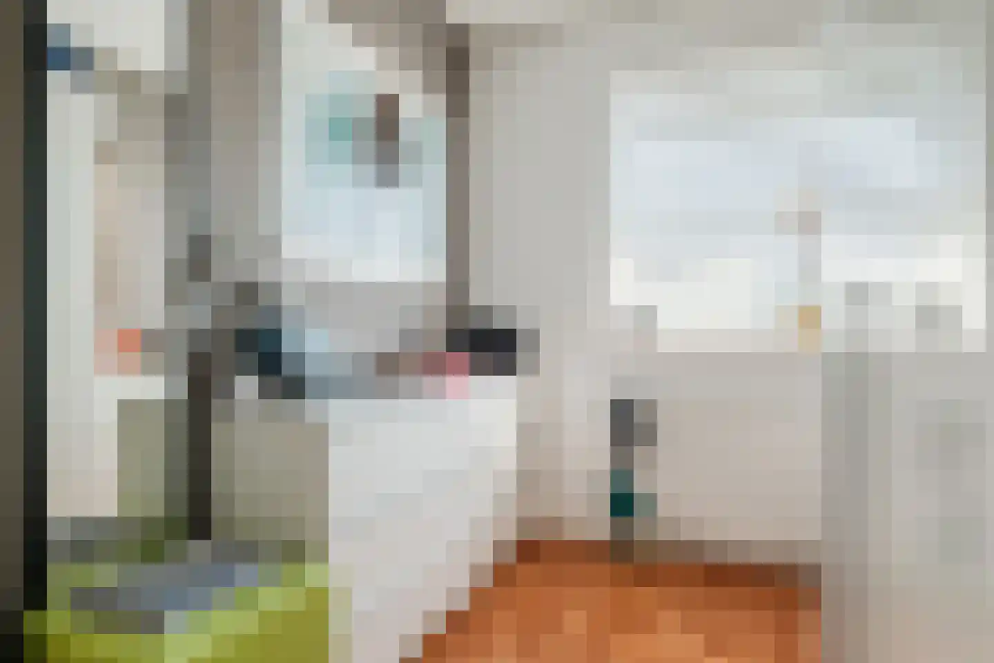 Zonnedauwstraat 6 2e Exloërmond thumbnail 32