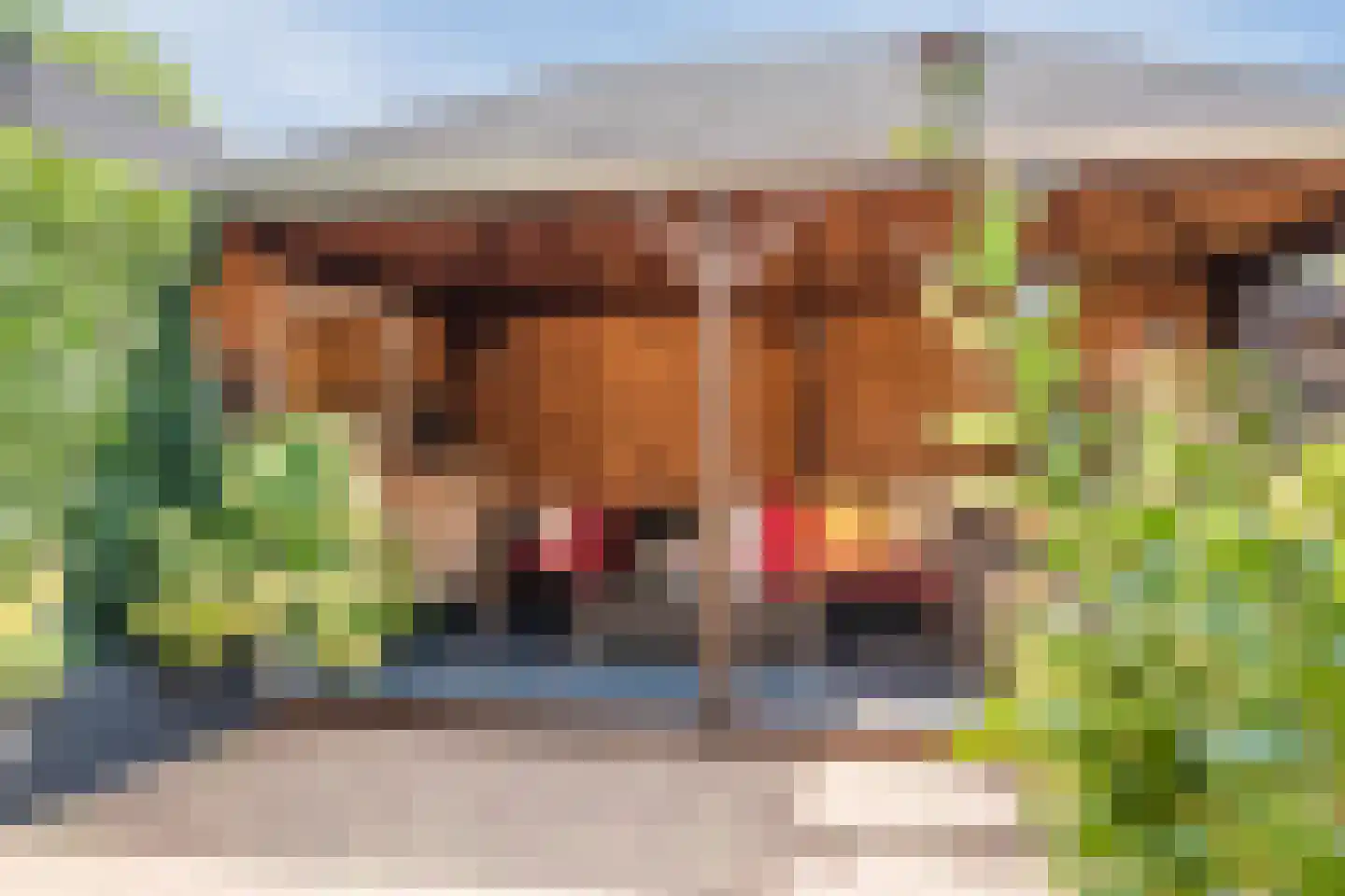 Zonnedauwstraat 6 2e Exloërmond thumbnail 50