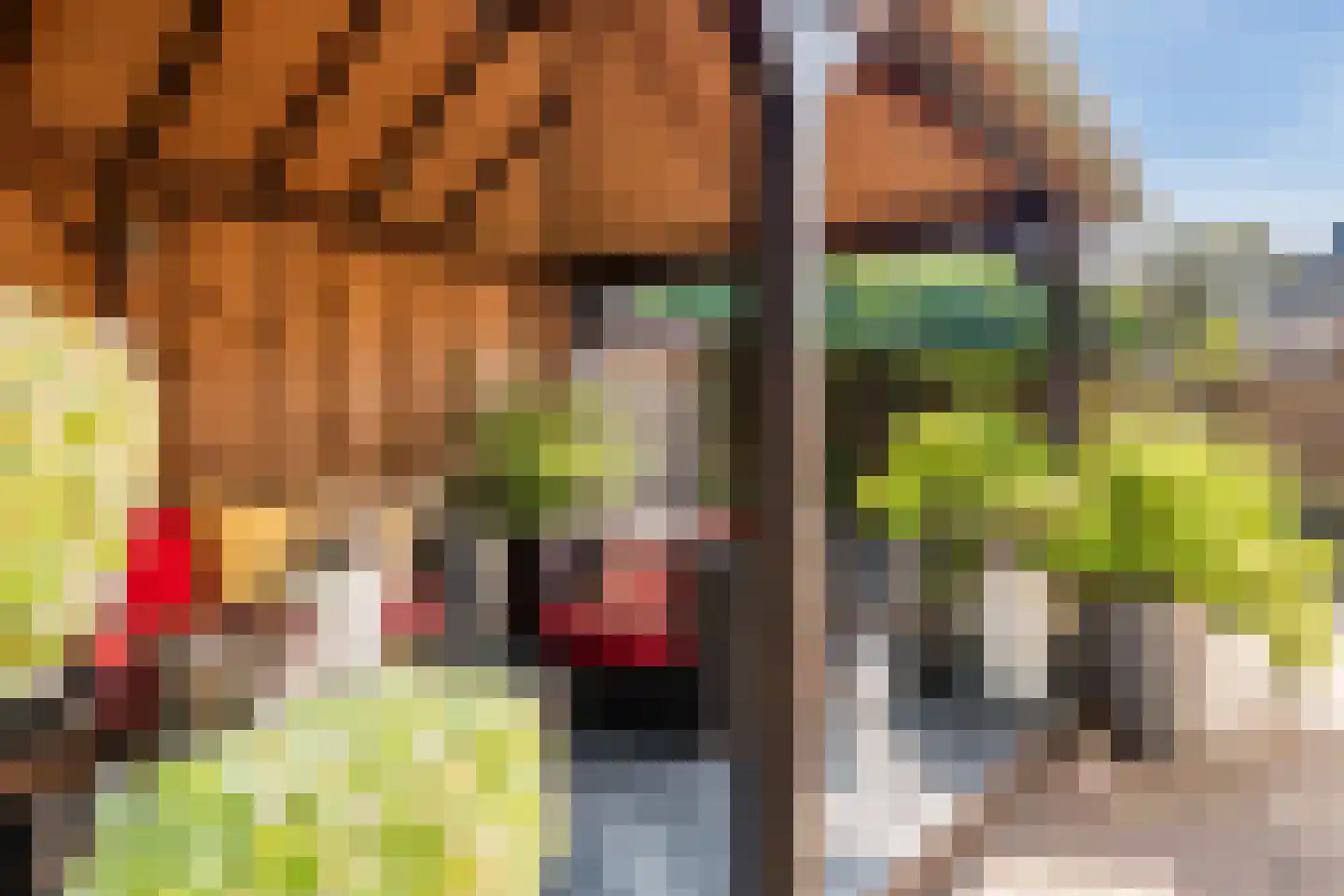 Zonnedauwstraat 6 2e Exloërmond thumbnail 51