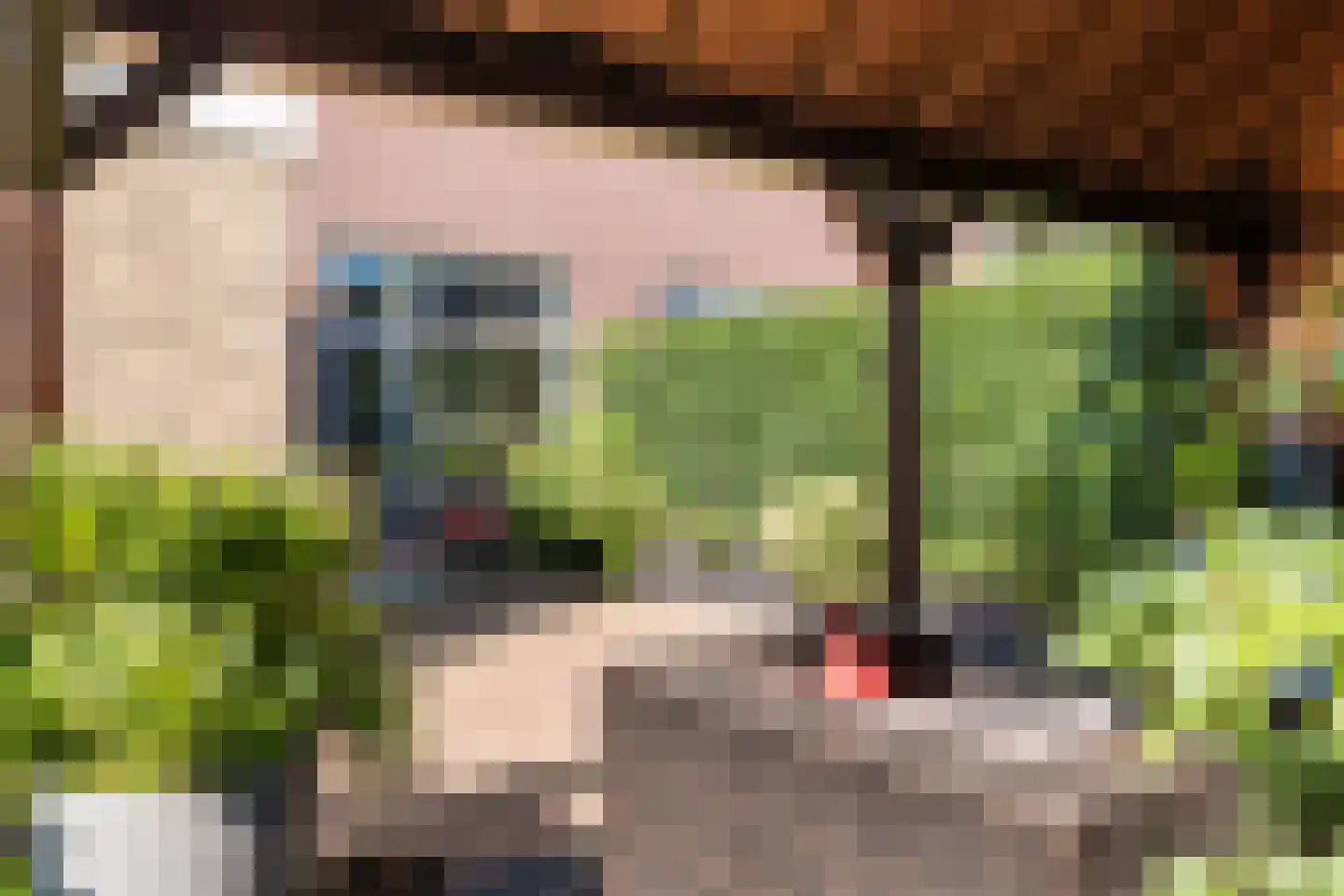 Zonnedauwstraat 6 2e Exloërmond thumbnail 52